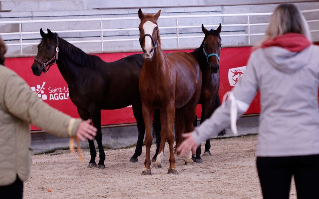 Croyances limitantes et aidantes