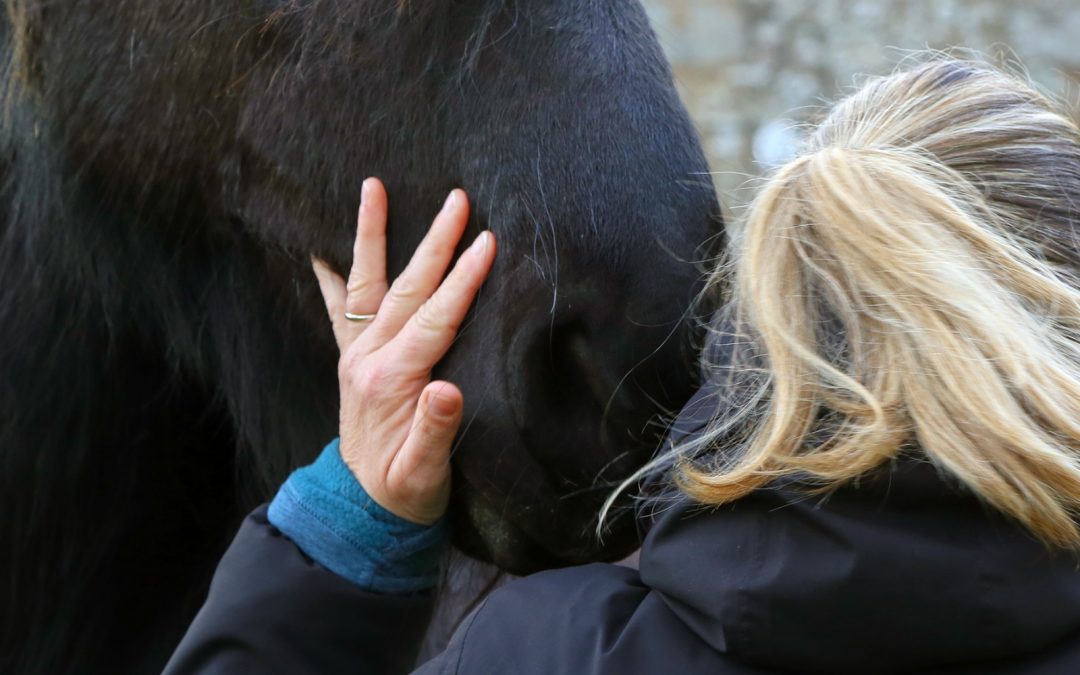 La clé d’un équilibre intérieur durable